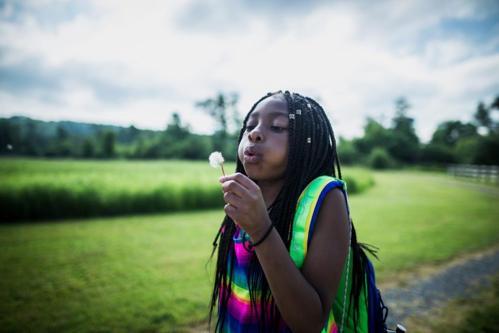 Child blowing dandelion seeds in grassy field